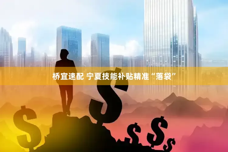 桥宜速配 宁夏技能补贴精准“落袋”