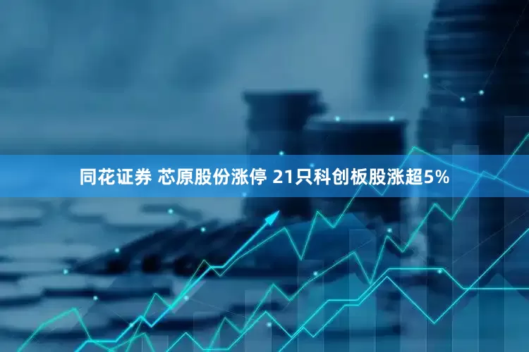 同花证券 芯原股份涨停 21只科创板股涨超5%