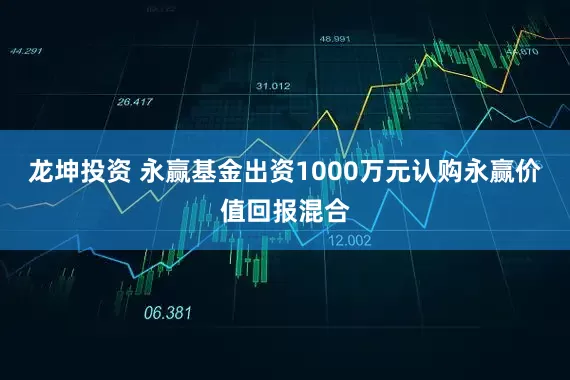 龙坤投资 永赢基金出资1000万元认购永赢价值回报混合